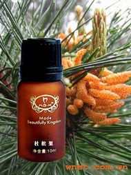 廣州雨潤美容美體與廣州靈蘭化妝品廠的平面設計合作