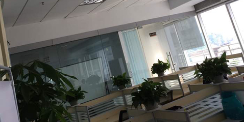 葉子商務信息咨詢